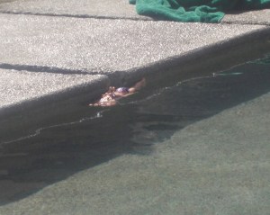 blond found floating - victim of a love triangle?