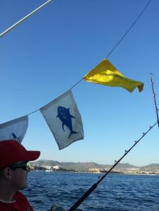 Returning with 3 banners up - one dorado, 2 tuna