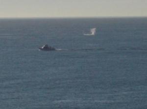 On Thursdays, the cruise ships are in port at Cabo San Lucas.  So perhaps that's why the whales came over to our beach and gave us a good show that afternoon. Typically, the mother surfaces and flaps its tail or fin and the calf jumps up out of the water.  Click on the link to see a slide show.