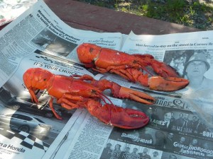 dinner in twillingate
