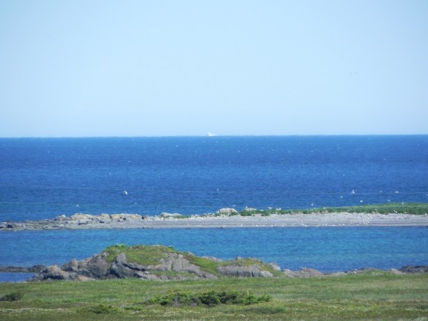 iceberg in lanse aux meadows