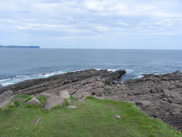 cape spear view