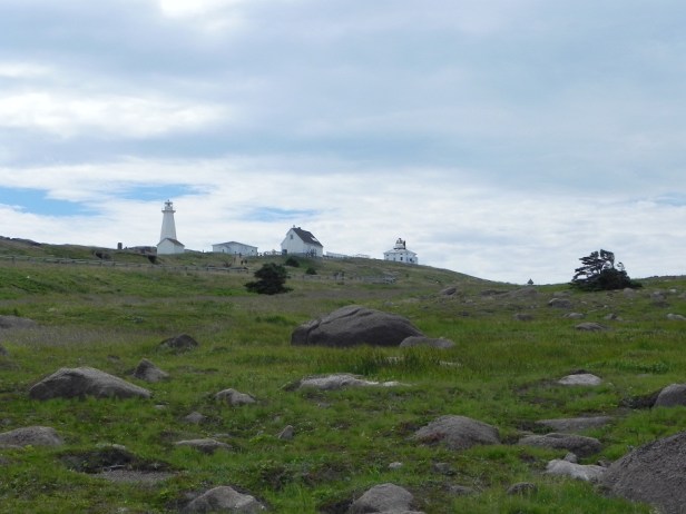 cape spear3
