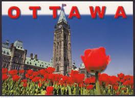 ottawa tulips