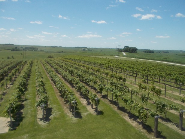 Danish Country winery