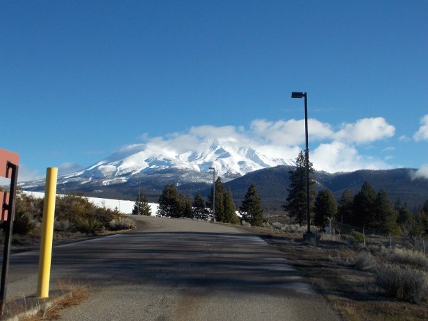 mt. shasta