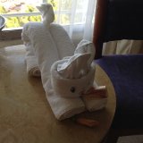 towel bunny