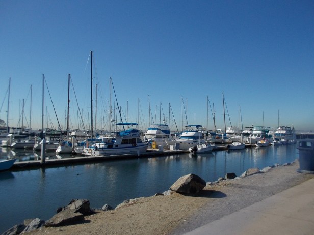 chula vista marina  morning