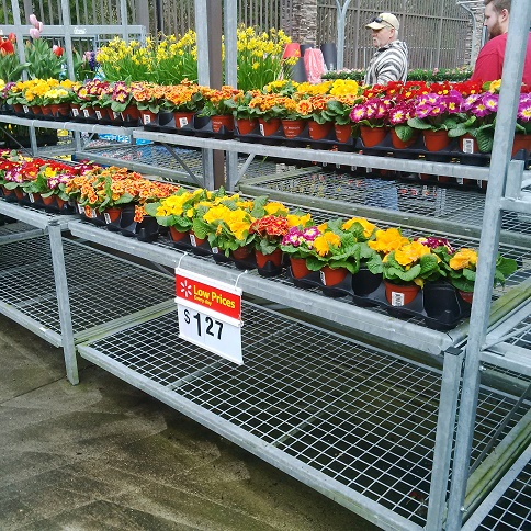 walmart garden center