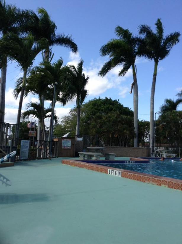 pool in Homestead