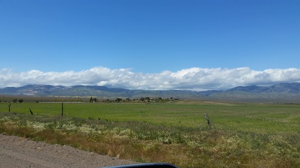 mountains in bloom north of LA county