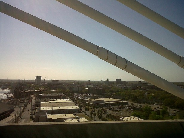 savannah from over the bridge