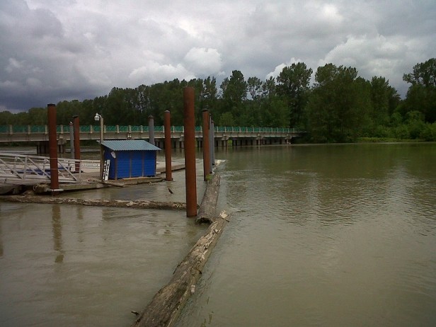 Fraser river Ft. Langley (2) June 2017