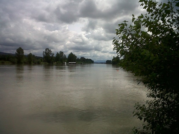 Fraser river Ft. Langley June 2017