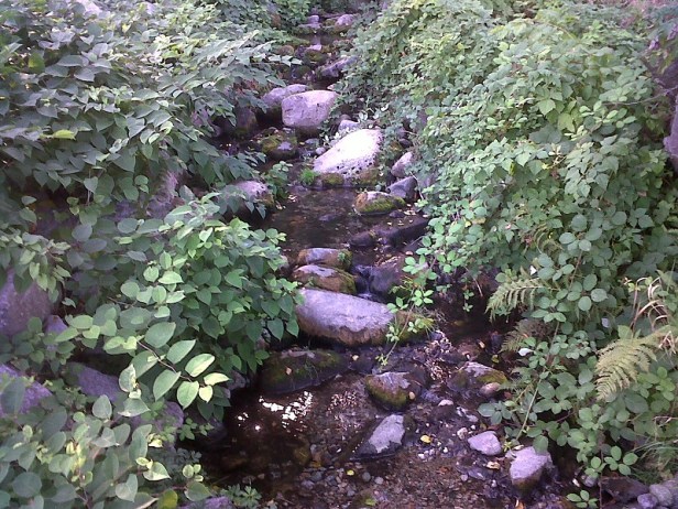 creek through Panorama Park Deep Cove