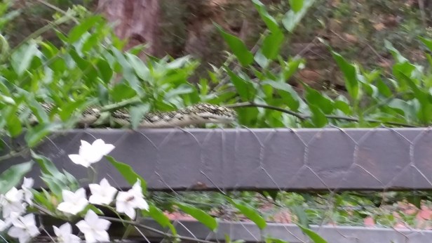 16AEEAA8-6F17-4CED-8BB8-F60F40792C66