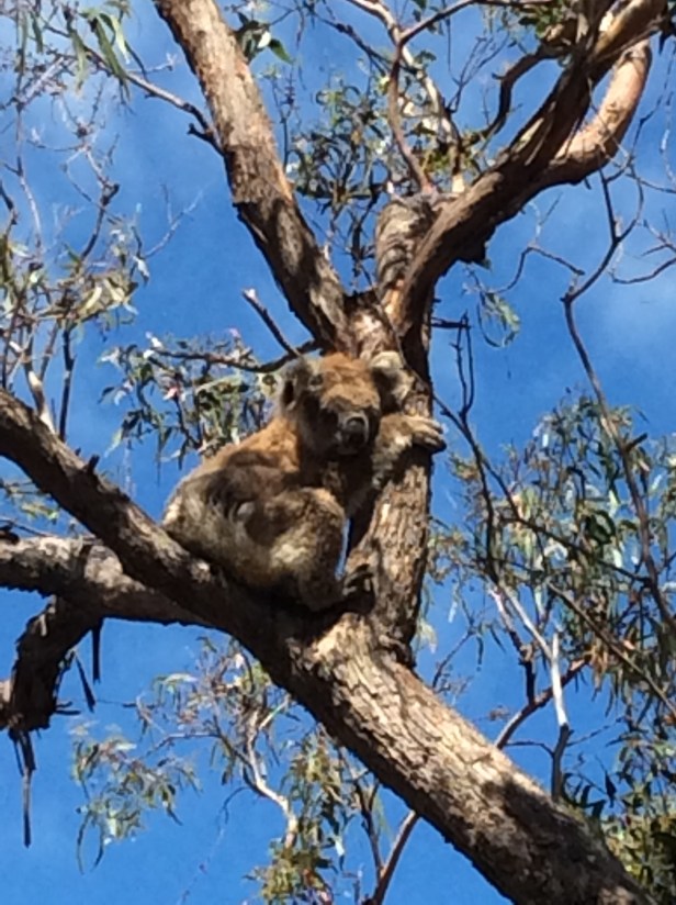 3E494D4F-66FE-41DA-A055-DB8A90E1885F