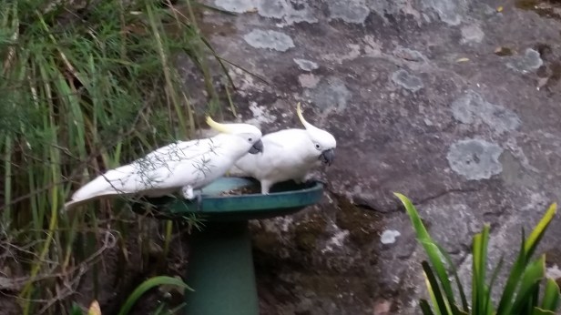 48D3CF90-038C-4F53-B180-2BE034F6C4ED