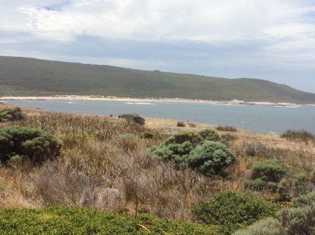 DE44BC95-E017-4B35-8230-951D3466EA20