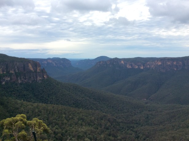 E3913F93-262E-4D5A-AD0D-0901F60A89EC