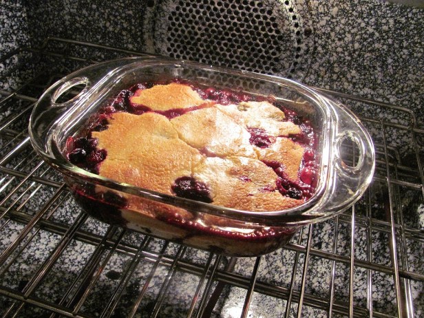 berry-cobbler-424021_1920